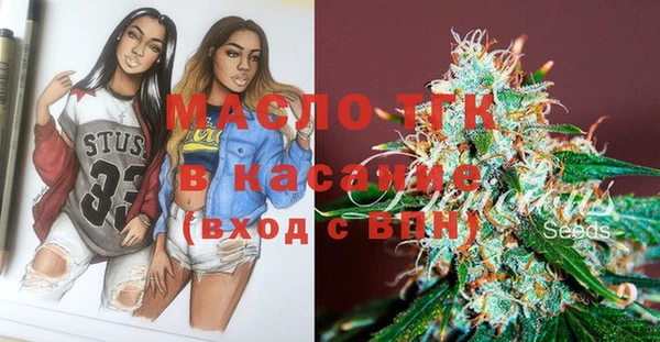 мет Алексин