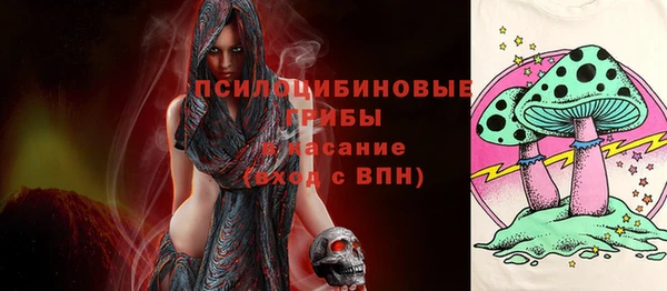 мет Алексин